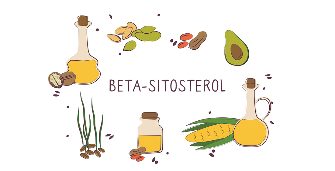 An image of the natural sources with beta-sitosterol for improving urine flow.