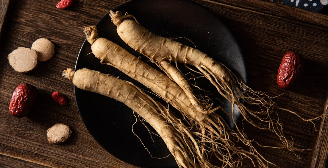 What are the Daily Recommeded Dosage of Ginseng