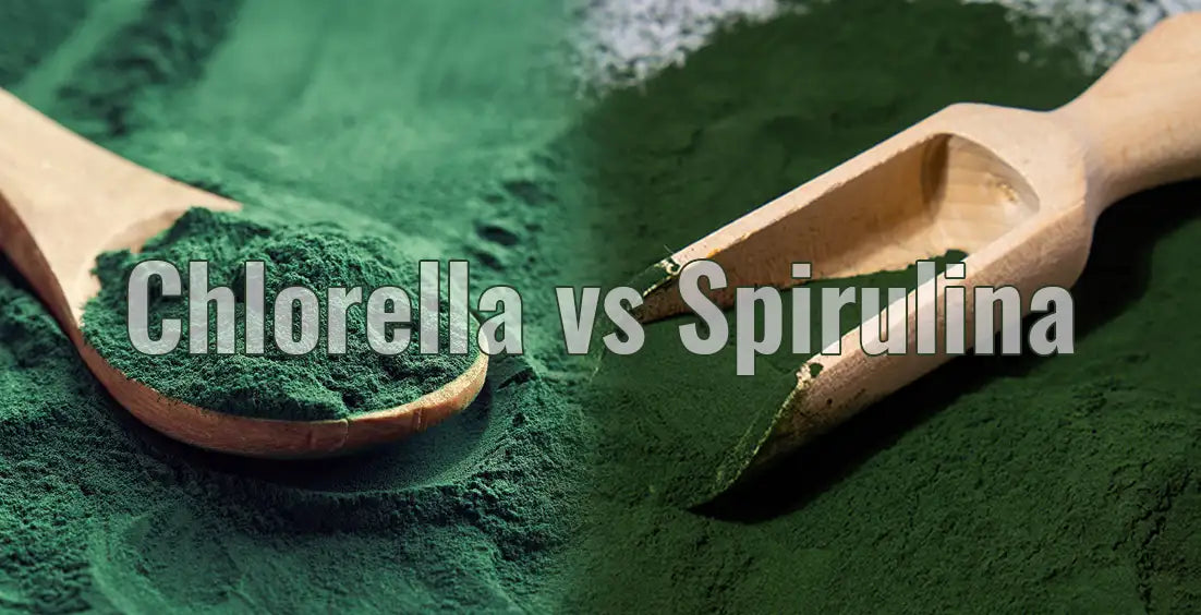 Chlorella vs Spirulina: Which Superfood Is Superior?