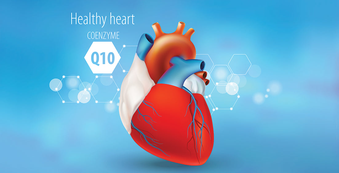 CoQ10 Good For Your Heart