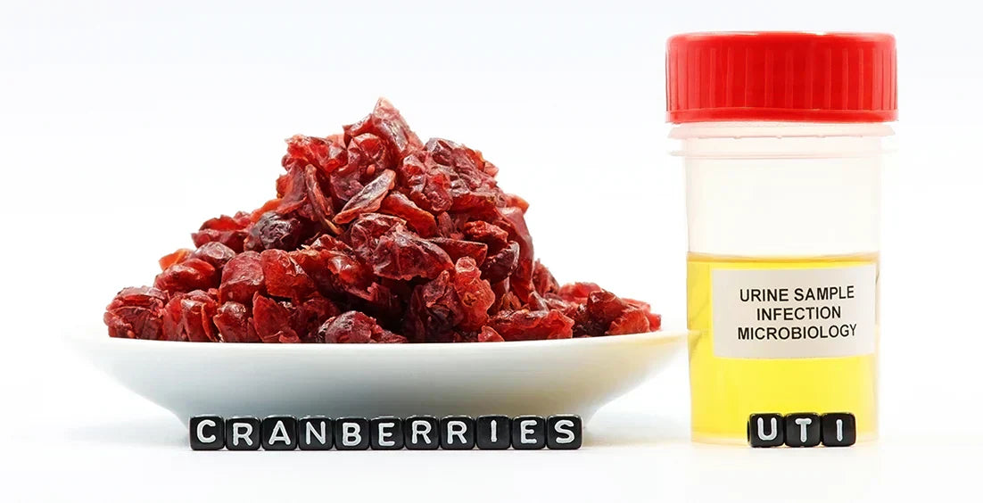 An image showing dried cranberries used to prevent urinary tract infections (UTIs).