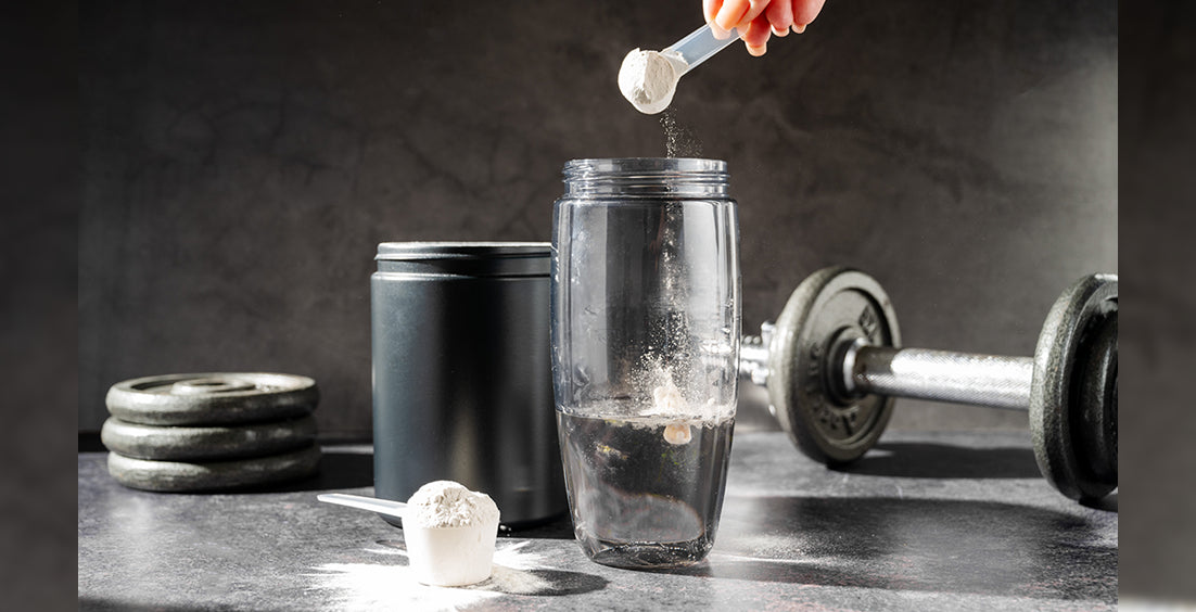 Creatine Help Build Muscle