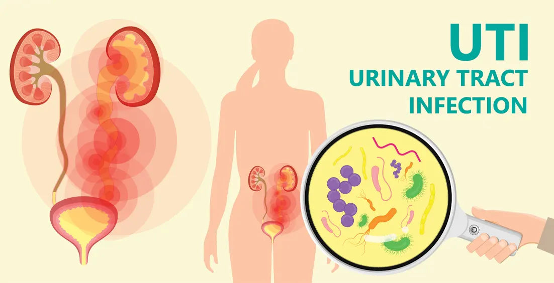 How Much D-Mannose Should You Consume For UTI?