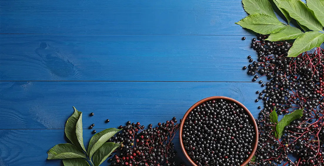 Can You Take Elderberry Every Day?