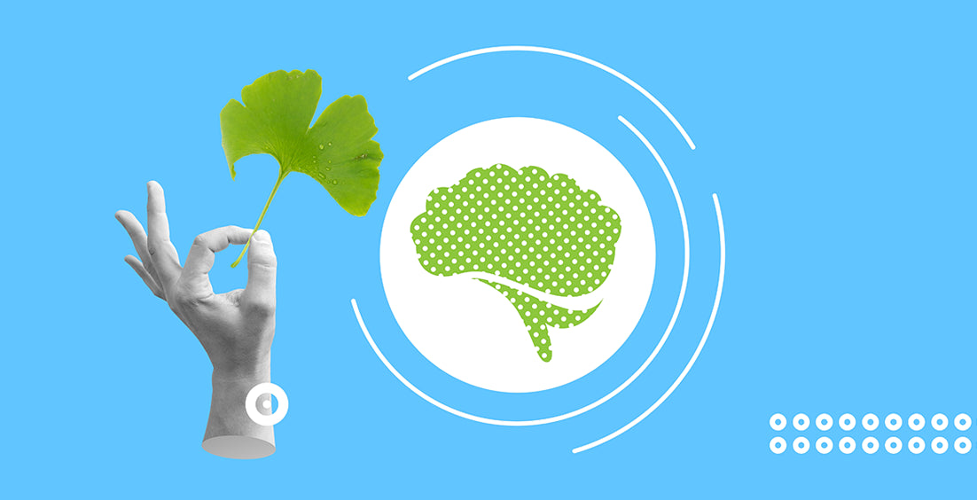 An image of ginkgo biloba as best-reviewed brain supplements for cognitive improvement