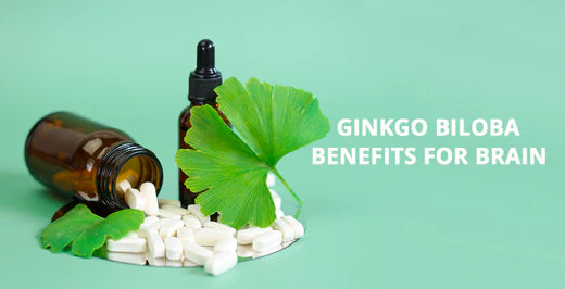 Ginkgo Biloba Benefits for Brain