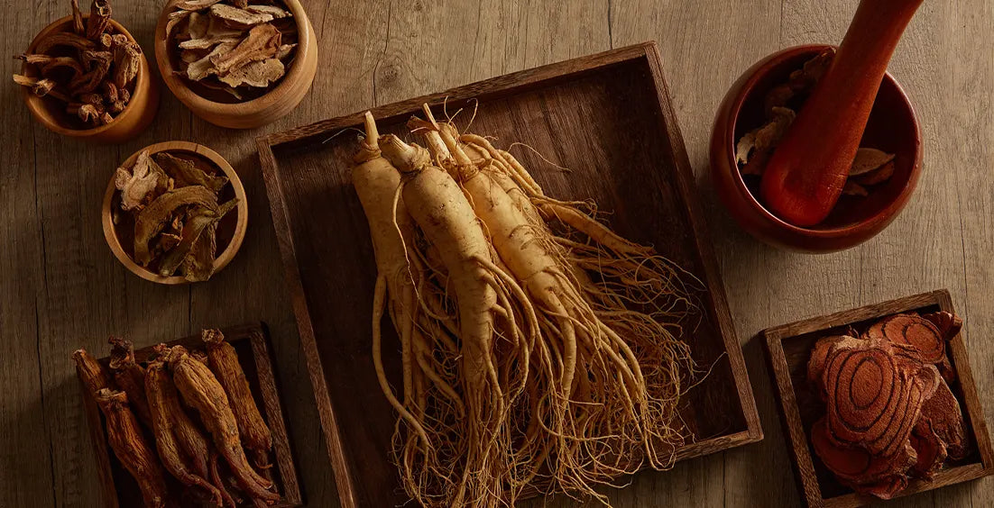 Health Benefits of Ginseng: How Effective Is It for You?