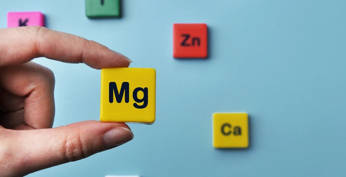 Magnesium Citrate vs Glycinate: Which is Right For You?