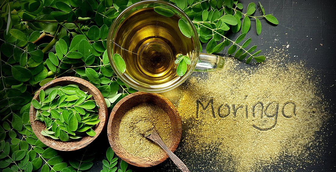 Moringa Benefits for Men