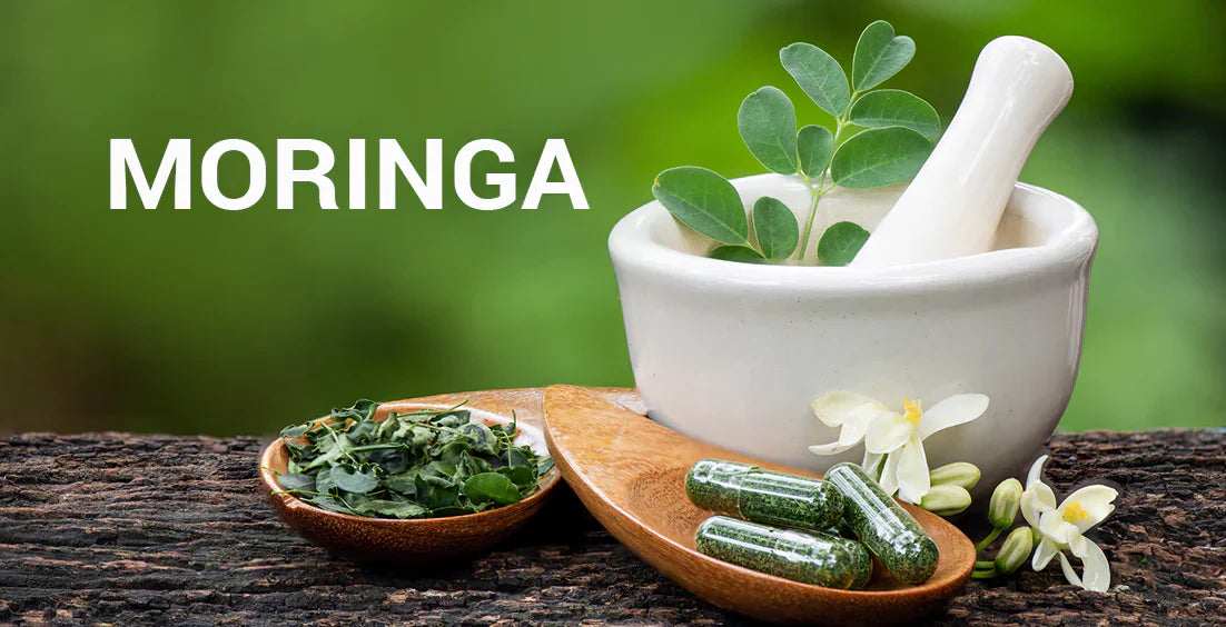 How to use moringa leaves