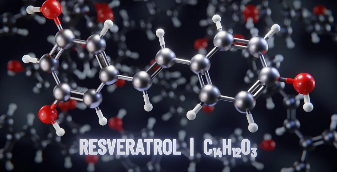 How to Take Resveratrol: Tips for Daily Dosage & Timing