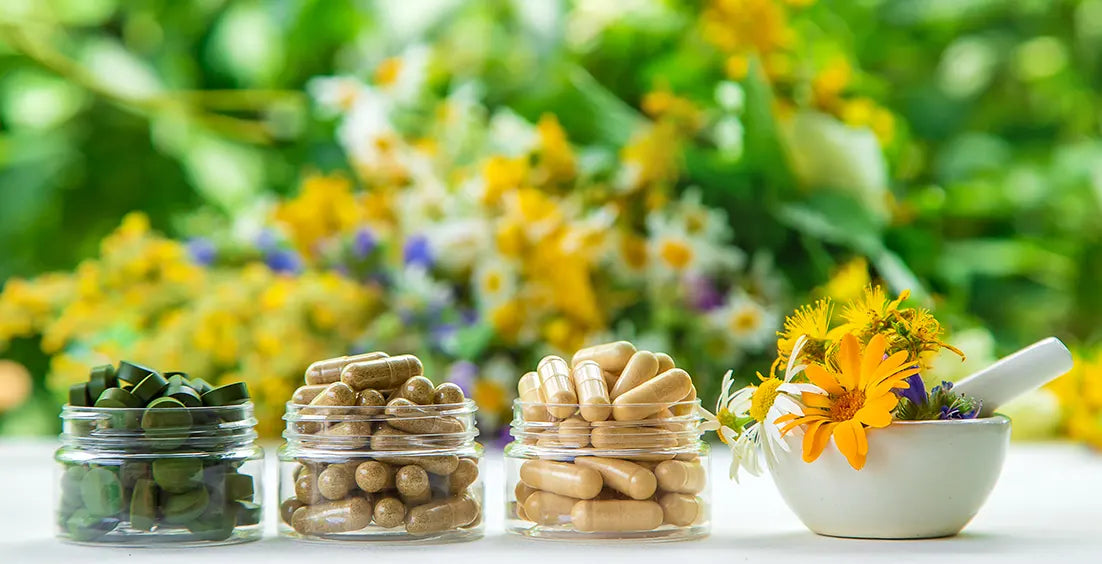 The Best Herbal Brain Supplements for memory and Focus