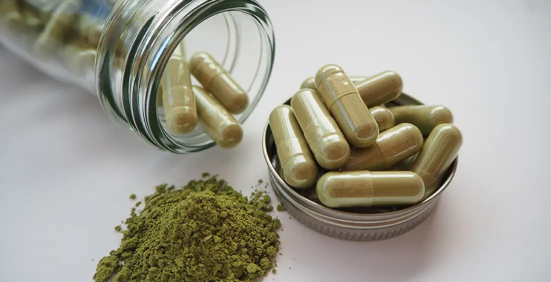 Ultimate Guide to Ginkgo Biloba Supplements