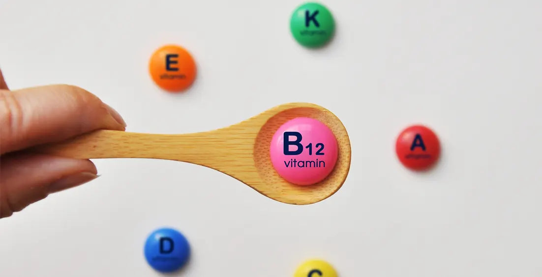 What Foods Have Vitamin B12 That You Should Eat?