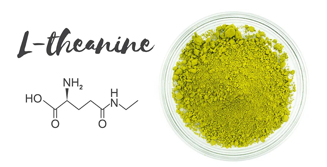 What is L-Theanine