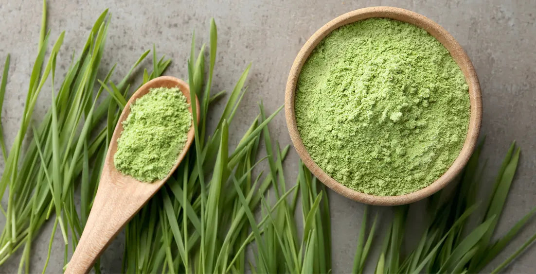 8 Benefits of Wheat Grass and How to Incorporate It into Your Routine