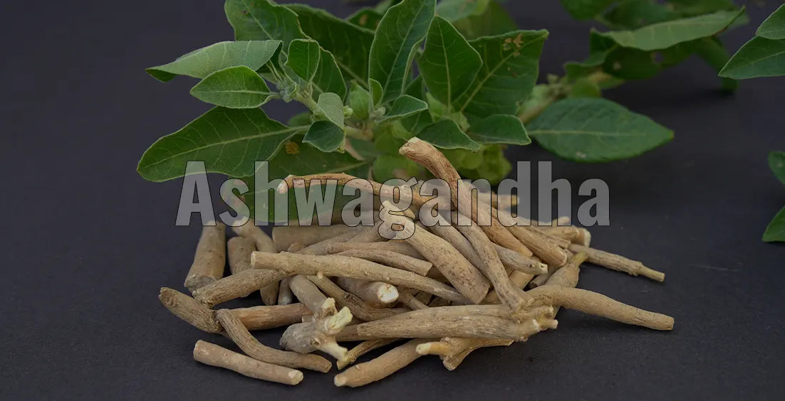 When Is The Best Time To Take Ashwagandha?